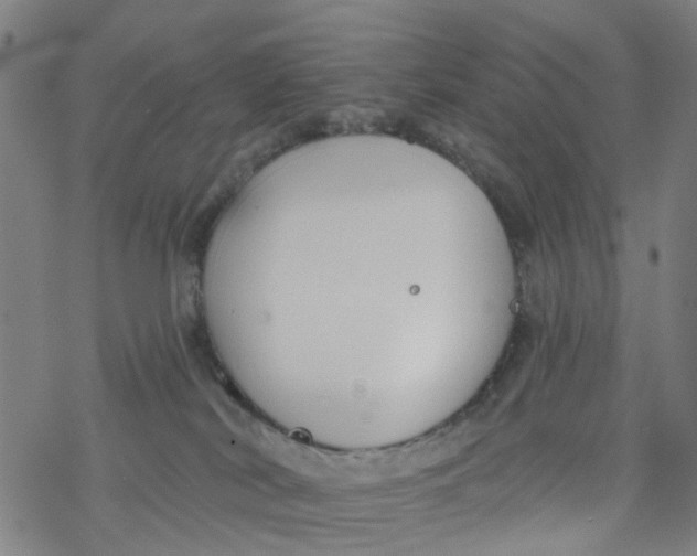 X0000077400038200611101831