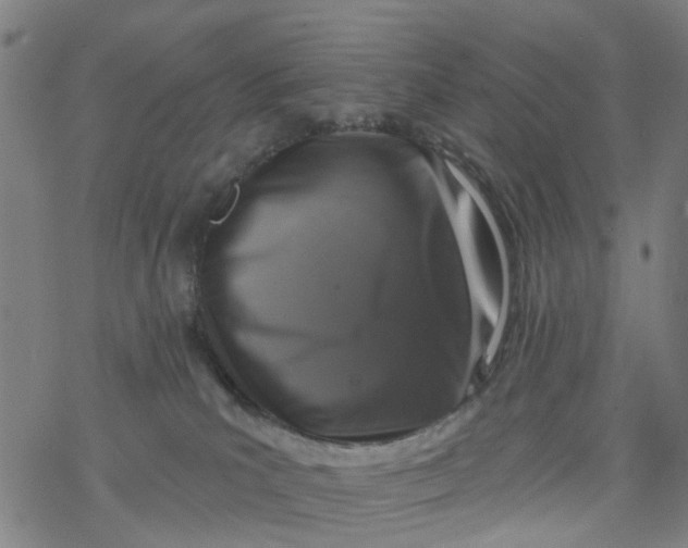 X0000077400039200611101831