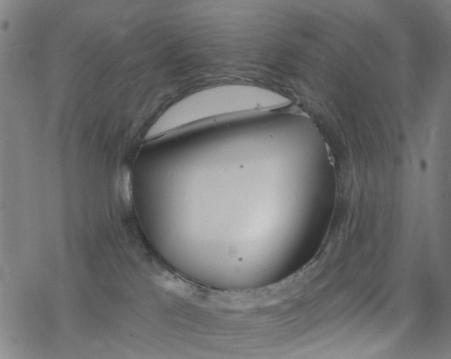 X0000077400041200611101831