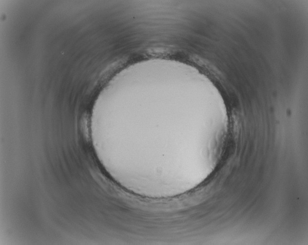 X0000077400042200611101831