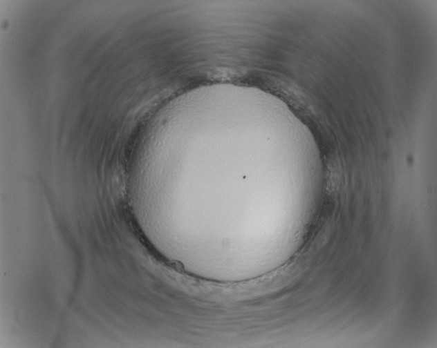 X0000077400043200611101831