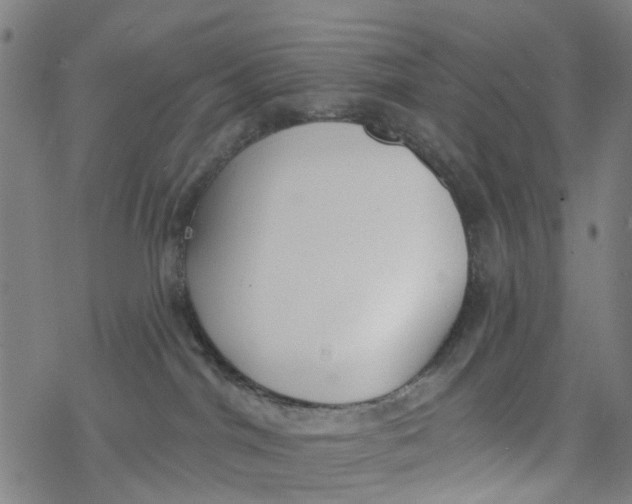 X0000077400044200611101831