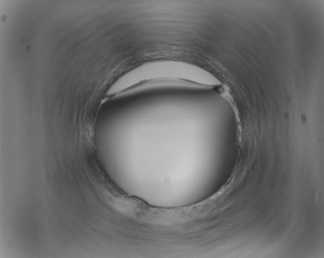 X0000077400045200611101831