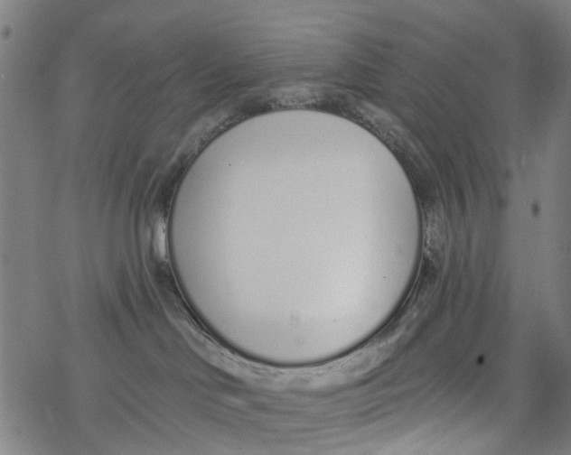 X0000077400046200611101831