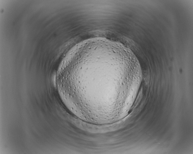 X0000077400047200611101831