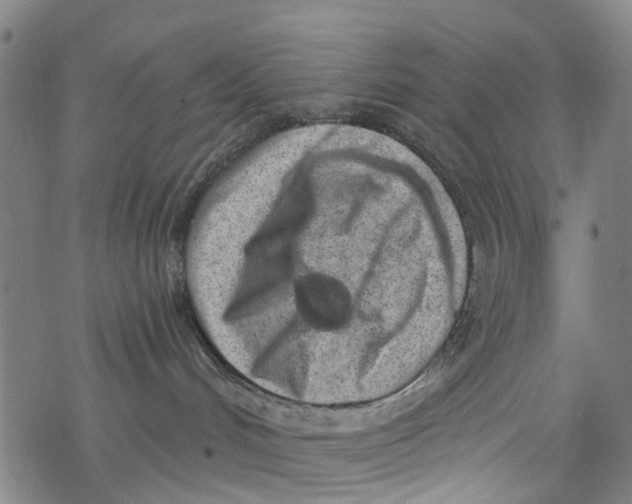 X0000077400048200611101831