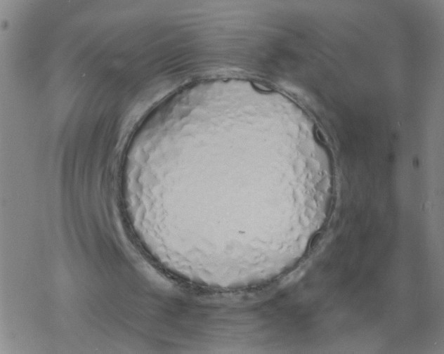 X0000077400049200611101830