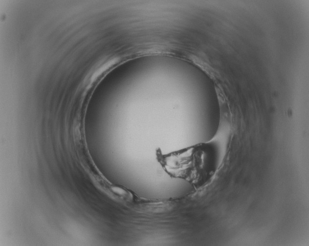 X0000077400050200611101830