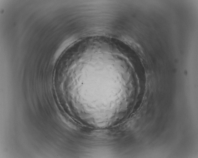 X0000077400051200611101830