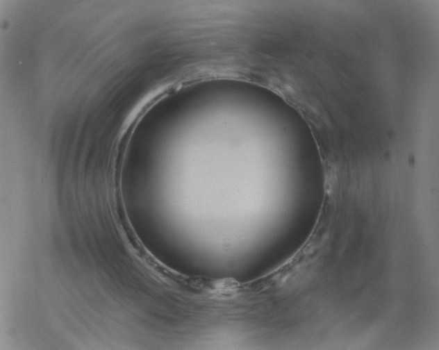 X0000077400052200611101830