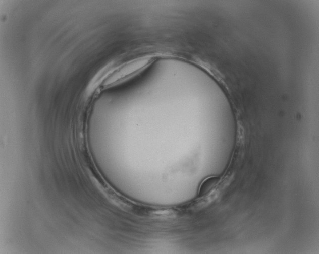 X0000077400053200611101830