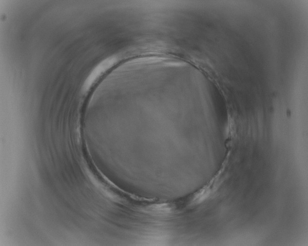 X0000077400054200611101830