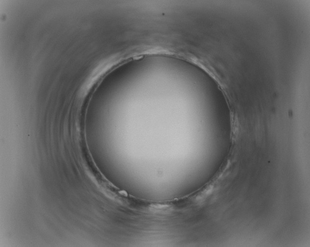 X0000077400055200611101830