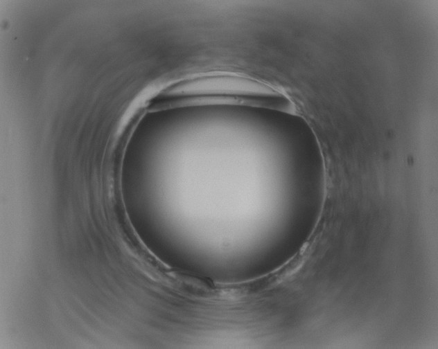 X0000077400056200611101830