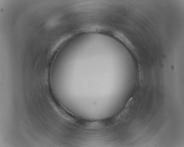 X0000077400058200611101830