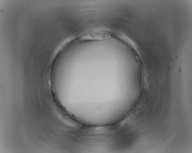 X0000077400059200611101830