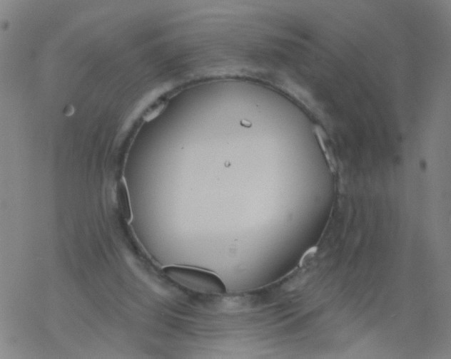 X0000077400060200611101830