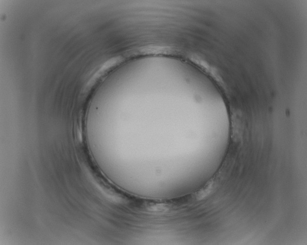 X0000077400062200611101830