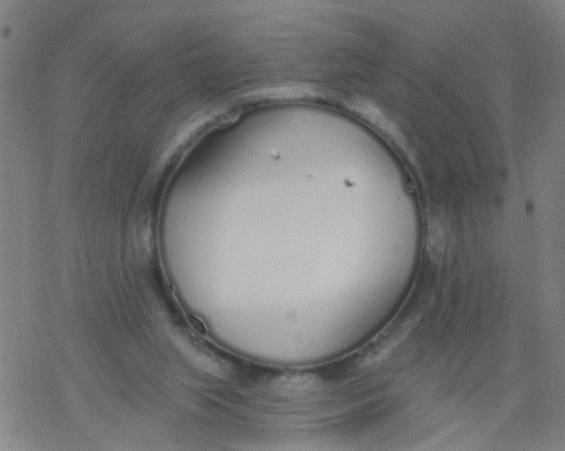 X0000077400063200611101830