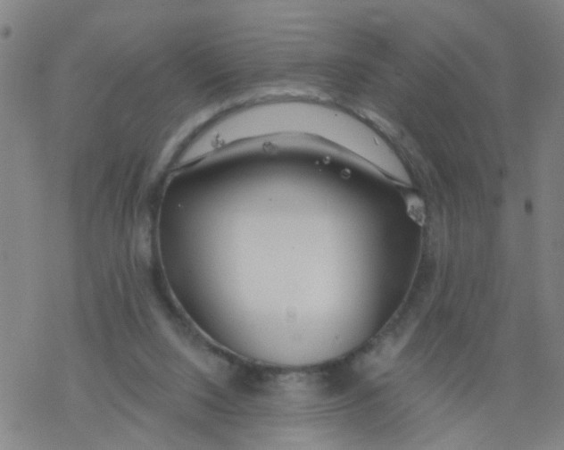 X0000077400064200611101830