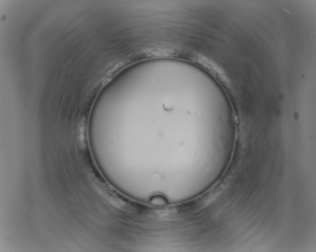 X0000077400065200611101830