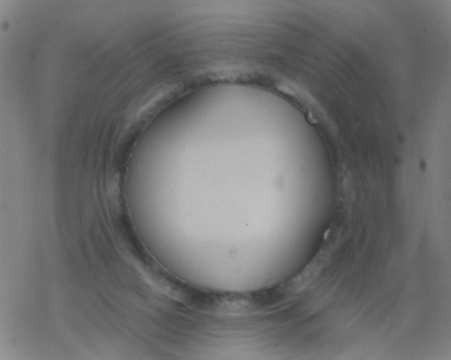 X0000077400066200611101830