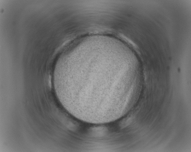 X0000077400067200611101830