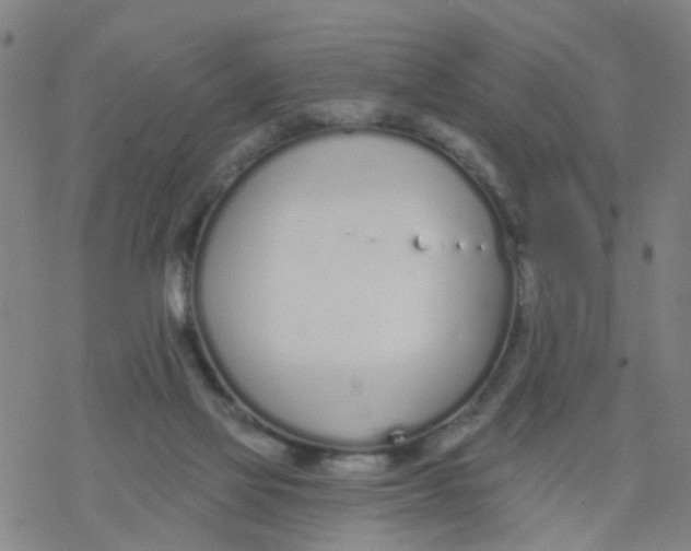 X0000077400069200611101830