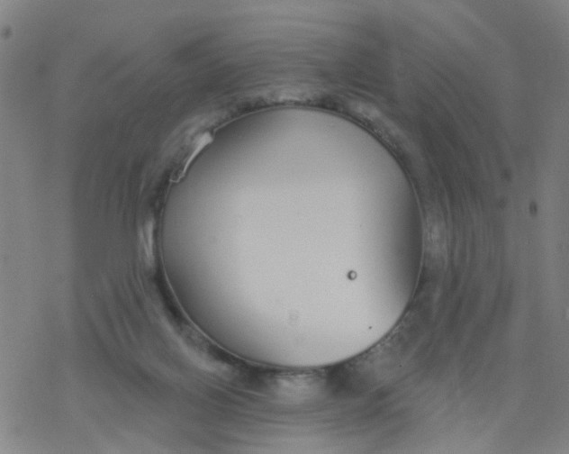 X0000077400070200611101830