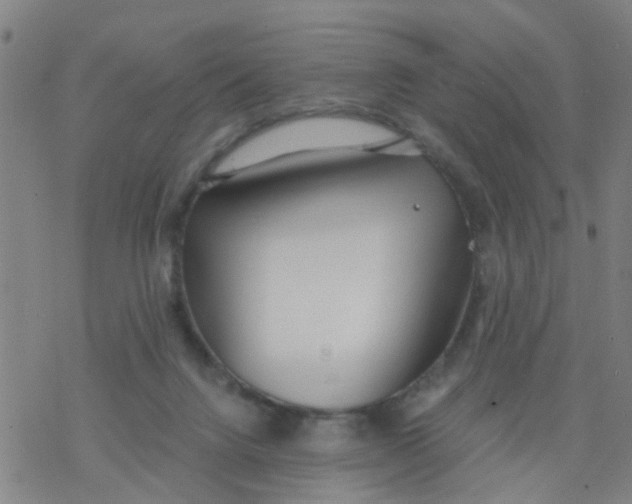 X0000077400072200611101830