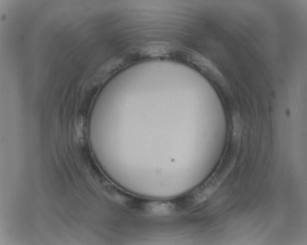 X0000077400073200611101830