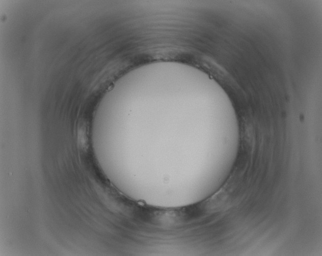 X0000077400074200611101830