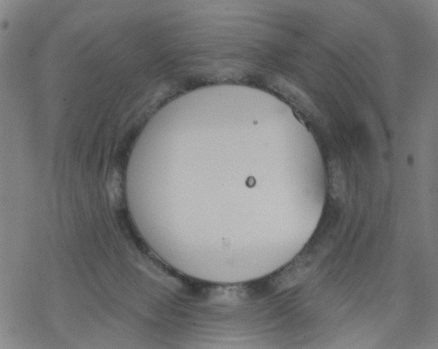 X0000077400077200611101831