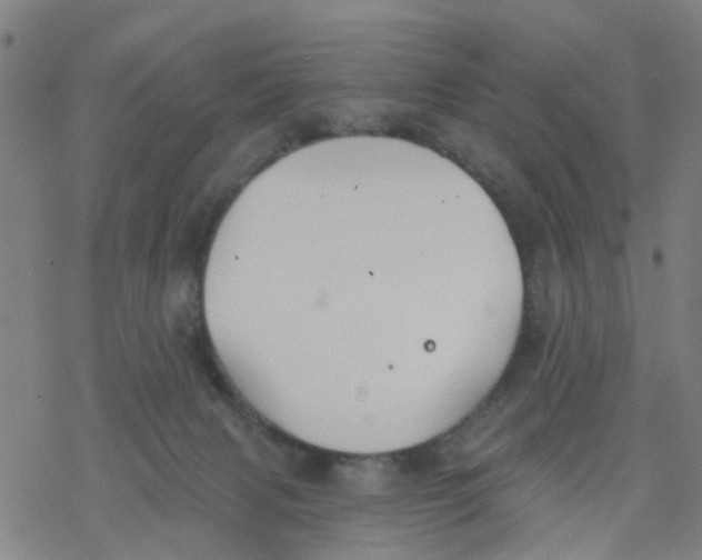 X0000077400079200611101831