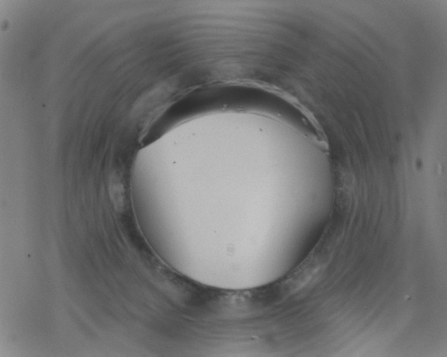 X0000077400080200611101831