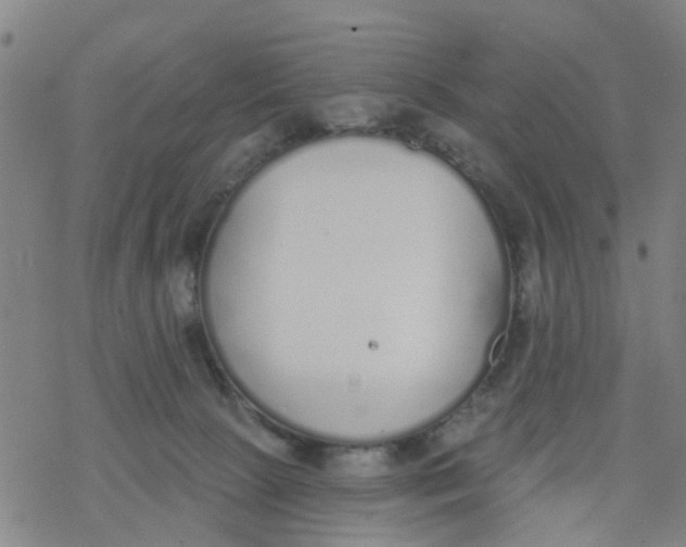 X0000077400081200611101831