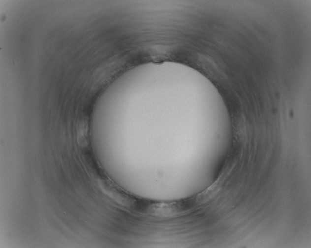 X0000077400082200611101831