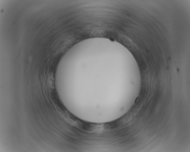 X0000077400083200611101831