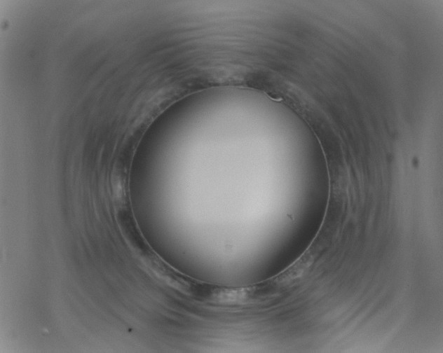 X0000077400084200611101831