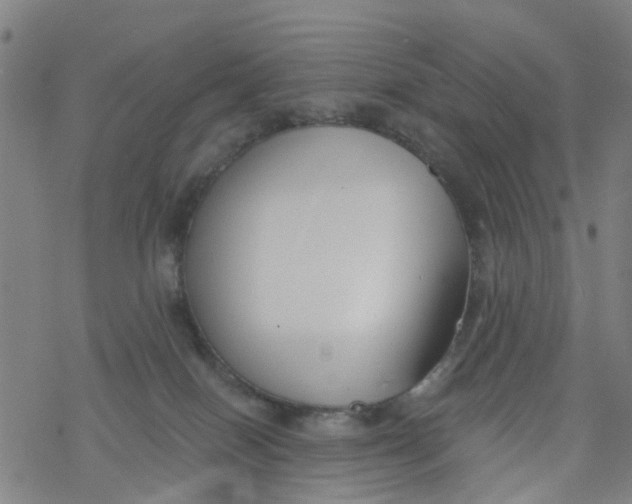 X0000077400086200611101831