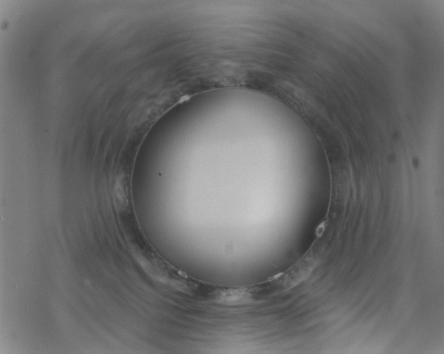 X0000077400088200611101831