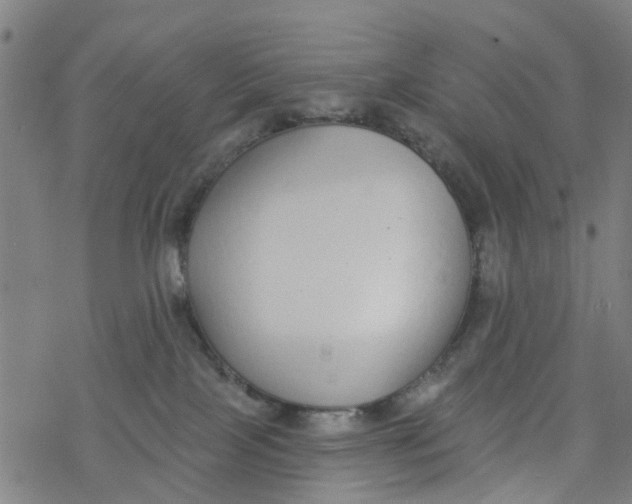 X0000077400089200611101831