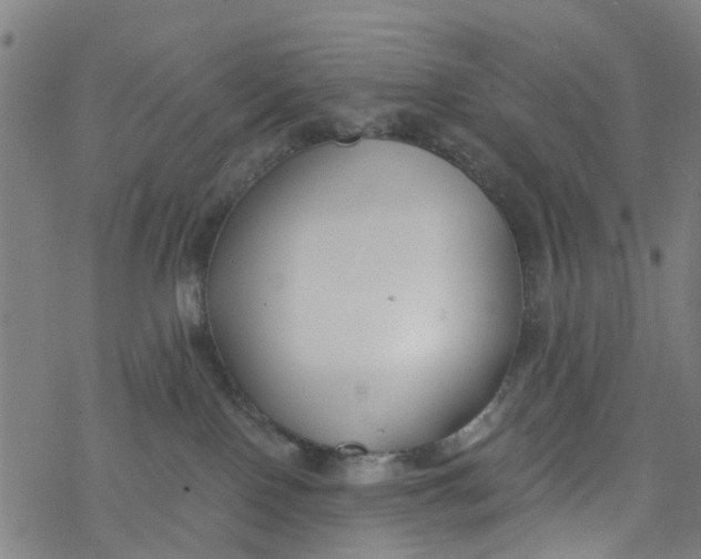 X0000077400090200611101831