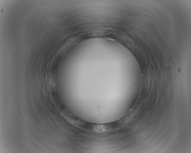 X0000077400091200611101831