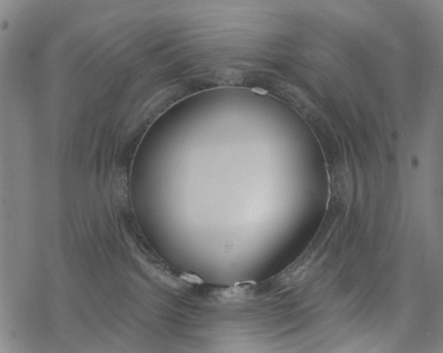 X0000077400092200611101831