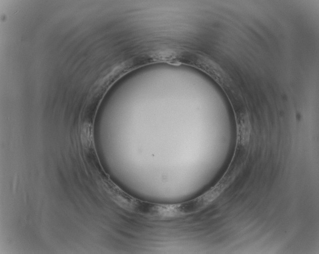 X0000077400093200611101831