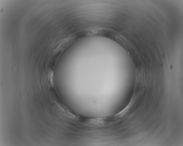 X0000077400094200611101831