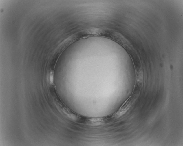 X0000077400095200611101831