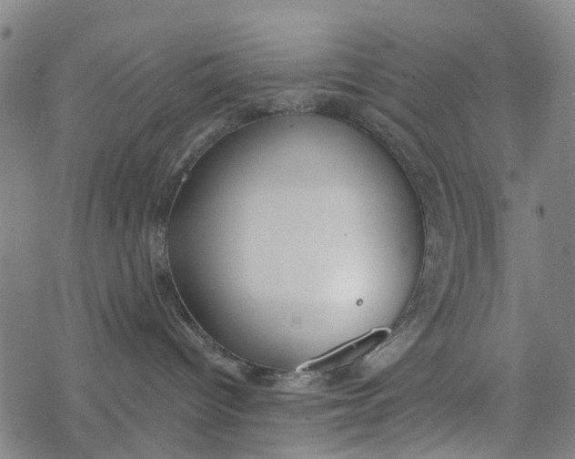 X0000077400096200611101831