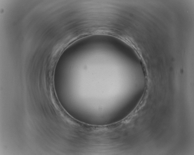 X0000077400097200611101830